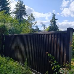 slikaalu19